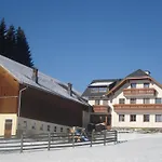 Maxgut Apartment Mariapfarr