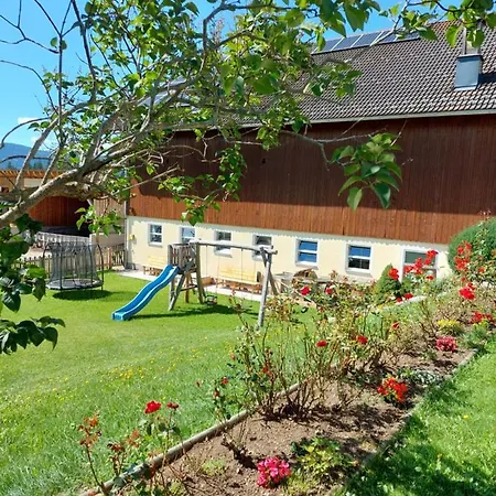 Maxgut * ماريابفار