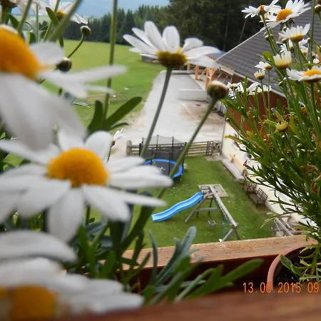 Maxgut * ماريابفار